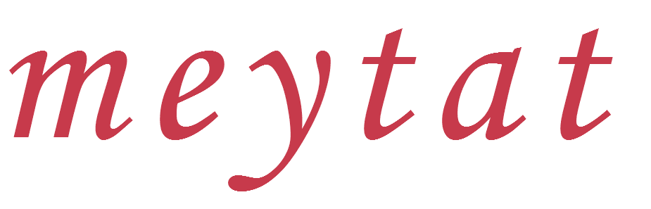 Meytat Dondurulmuş Meyve - Konserve Meyve - Frozen Fruits